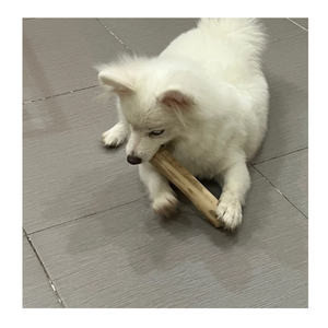 Vente en gros de bâton à mâcher en bois de café naturel jouet pour chien mâcheurs de formation pour chiens fournitures pour animaux de compagnie faites à la main du Vietnam - Product Image 1