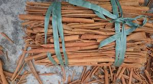 Compre canela dividida de primera calidad con 100% naturalmente hecha para usos de cocina por exportadores indios - Product Image 3