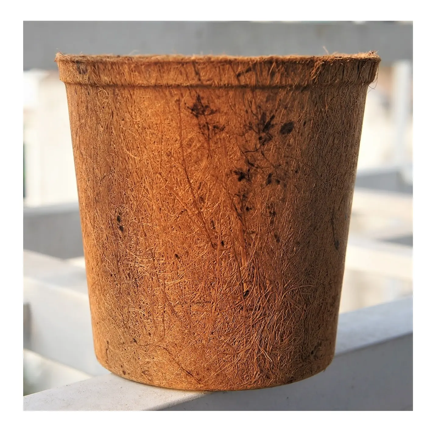 식물과 꽃을위한 생분해성 코코넛 야자 냄비 100% 공급 업체의 천연 코코아 섬유 냄비 VietNam