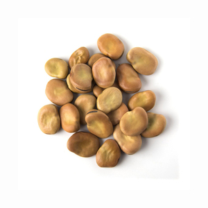 High Quality Horse <b>Beans</b> Defatted Maker High Protein Feed Full-Fat Sale; for Food Dried and Fresh Styles Available - Product Image 4