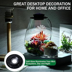 Mini Terrario de Vidrio de Escritorio <span class=keywords><strong>con</strong></span> <span class=keywords><strong>Luz</strong></span> de Cultivo para Plantas Suculentas, Musgo, Jardinería en Miniatura, Paisaje, Pecera Pequeña - Product Image 4