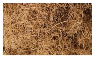 ใยมะพร้าวธรรมชาติ คุณภาพสูง สำหรับทำสวน ทำฟาร์ม พร้อมส่งออก - Product Image 3