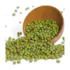 Factory Price Mung <b>Beans</b> Offered For Large Volume Food Industry Buyers - Product Image 3