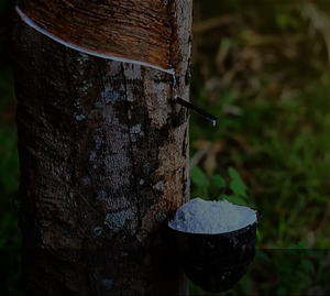 ยางลาเท็กซ์ธรรมชาติเกรดขึ้นรูป 60% ป้องกันไฟฟ้าสถิต ทนต่อการเสื่อมสภาพ ผู้จัดจำหน่าย - Product Image 3