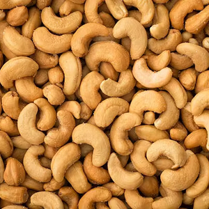 CAJOU DU VIETNAMIEN EN GROS DE HAUTE QUALITÉ-BIOLOGIQUE NATUREL MEILLEUR PRIX - Product Image 1