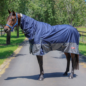Alfombras de invierno de caballo de poliéster Premium impermeables asequibles a medida para mayor comodidad y máxima protección contra el clima frío - Product Image 2