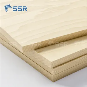 SSR VINA-legno compensato di betulla/viso okoume'-produttore vietnamita 4x8 foglio di compensato di betulla baltica in compensato di betulla
