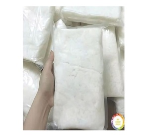 Leche de coco congelada de calidad de exportación de Vietnam, ideal para salsas, sopas, curry y servicio de comida internacional - Product Image 1