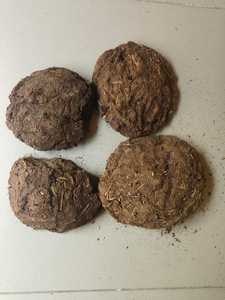 Estiércol de Vaca Orgánico, Exportadores de Polvo de Estiércol de Vaca, Proveedores de Estiércol, Fertilizante de Estiércol de Vaca a Granel en Todo el Mundo - Product Image 3