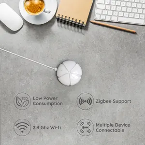 Bilicra bağlantı Zigbee ağ geçidi ev otomasyon Wifi Zigbee ağ geçidi Zigbee 3.0 akıllı ev bağlantı marangoz destek APP Android için