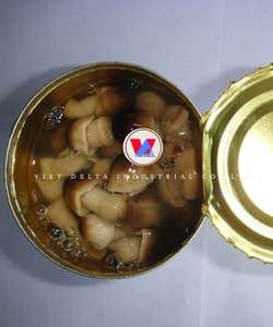 CHAMPIGNONS DE PAILLE EN CONSERVE POUR LE SOUTIEN DE LA SANTÉ INGRÉDIENTS VÉGAINS PURS ÉTIQUETTE PROPRE ALIMENTS ENTIERS À BASE DE PLANTES - Product Image 3