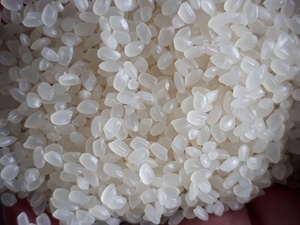 Alta Calidad Japonica Arroz Riz-Arroz-Calrose Riz-Arroz-Calrose Bulk Riz-Arroz-Calrose Grain court 1kg 2kg 5kg 25kg Envases - Product Image 4