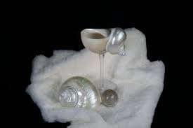 Verres à pied en coquillage de haute qualité Coastal Chic Seashell: verrerie élégante et tendance pour les maisons modernes et les soirées à la plage, décor - Product Image 4