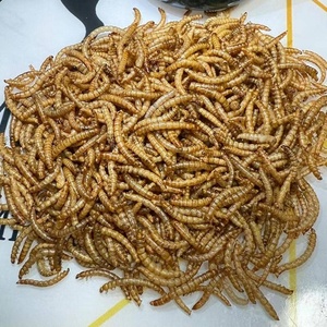 Pet Snack Vente en gros Pain humide Vers 100% Naturel Viande Jaune Farine Vers Oiseaux Hamsters Ornement Poisson Tortues Nourriture Repas Chaud - Product Image 4