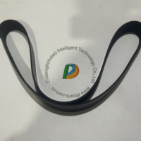 Pièces d'origine Pièces de moteur OEM K19 KTA19 V RIBBED BELT 3002202 5412996 3807303 15PK1770