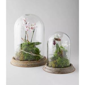 Terrario de Cristal Alto para Interiores y Exteriores, Decoración para el Hogar y el Jardín, Florero de Cristal, Decoración Rústica para Plantas de Musgo, Maceta de Cristal para Terrario - Product Image 2