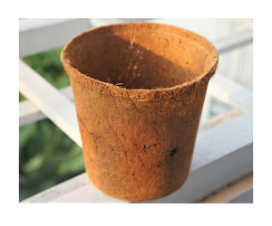 หม้อมะพร้าวคุณภาพสูงราคาโรงงานเวียดนาม เส้นใยมะพร้าวธรรมชาติ 100% จากก้านมะพร้าว - Product Image 1