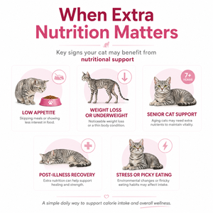 Gel hypercalorique en gros pour chats – Pâte <span class=keywords><strong>de</strong></span> récupération pour la prise <span class=keywords><strong>de</strong></span> poids avec huile <span class=keywords><strong>de</strong></span> <span class=keywords><strong>saumon</strong></span>, lysine, taurine et prébiotiques – Complément alimentaire pour animaux <span class=keywords><strong>de</strong></span> compagnie (OEM) - Product Image 5