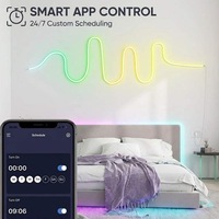 Bande lumineuse LED néon RGBIC USB 5V 5M IP65 étanche avec synchronisation musicale via application WiFi pour la décoration de chambre et de salle de jeux