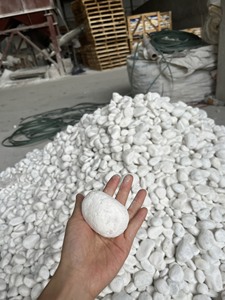 El más vendido, guijarros de piedra de río natural blanca, forma redonda, directamente de Vietnam - Product Image 5