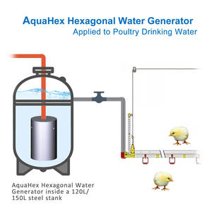 Nuevo bebedero de pollo con cilindro generador de agua Hexagonal de acero inoxidable para beber aves de corral - Product Image 2