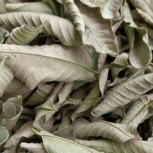 FEUILLES DE GOYAVE NATURELLES SÉCHÉES/TISANE DE QUALITÉ SUPÉRIEURE/INFUSION PRÊT À INFUSER - Product Image 3