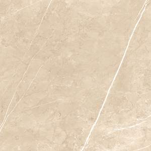 Explorez des finitions polyvalentes dans les carreaux en porcelaine de 600x600 mm en provenance d'Inde, qualité intemporelle avec des finitions modernes et haut de gamme en marbre. - Product Image 3