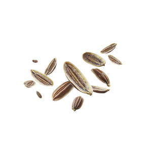 Eneldo | Hierba natural seca para uso en cocina Premium - Product Image 2