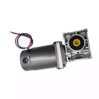 Moteur sans balais à engrenages à vis sans fin multifonctionnel 12-24V DC pour vélo électrique, appareils électroménagers, utilisation marine, haute efficacité IE4, prix bas