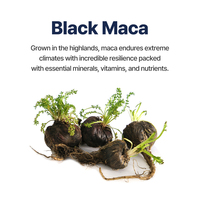 [Welltreat] Maca noire premium 5000, poudre de racine de maca en capsules, soutien énergétique quotidien, maca haute puissance