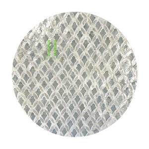 Assiettes d'affichage décoratives en nacre avec chargeur, assiettes à manger pour les fêtes, napperons de décoration de style moderne pour le dîner - Product Image 4