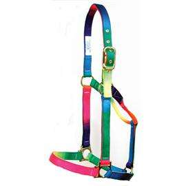 Licol de cheval couleur arc-en-ciel en cuir de haute qualité en nylon PVC collier de tête licous de cheval réglables avec un design unique en PP - Product Image 2
