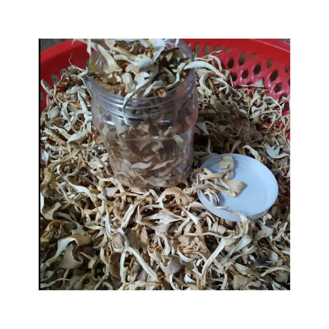 Nuovo arrivo fungo di ostrica essiccato a basso prezzo-fungo naturale essiccato biologico coltivato gusto delizioso per l'esportazione