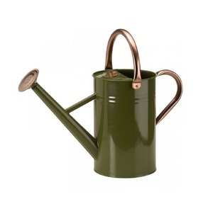 Luxury Watering Can Galvanized Simple Metal Water Can creative vintage water <b>cane</b> <b>garden</b> logo print watering can - Product Image 3
