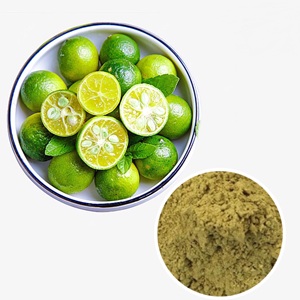 Approvisionnement direct d'usine poudre de calamansi séchée poudre de kumquat sec pour boissons tropicales - Product Image 1