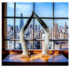 Placa de Pared de Cuerno de Búfalo Montado, de Forma Natural, Ecológica y Moderna, con Técnica Pulida, Artesanía SANIYA - Product Image 6