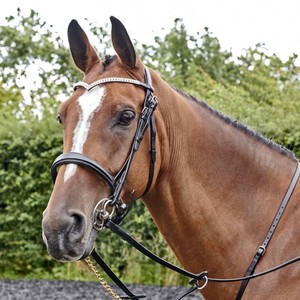 Cheval Snaffle Bridle Black/Chrystal Muserolesand et bandeau frontal doux rembourré avec raccord en acier inoxydable argenté - Product Image 2