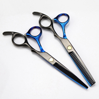Kit de Ciseaux de Coiffure Professionnels de Haute Qualité, Personnalisables et Polyvalents pour la Coupe et l'Effilage – Modèle International
