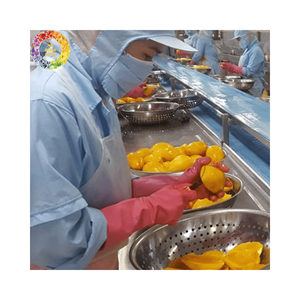 Frozen <b>Mango</b> - IQF Frozen <b>Mango</b> Chunk/ Dice/ Cube/ Slice/Cheek in Wholesale for Export - Frozen Fruits From Vietnam Factory - Product Image 6