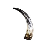 Corne à boire viking authentique en buffle, sculptée à la main, naturelle, gobelet traditionnel nordique, récipient pour hydromel, rustique, médiéval, artisanat brut