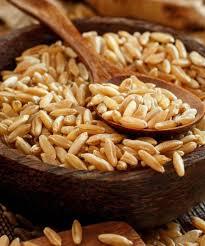 Grains de blé 100% naturels de haute qualité d'origine indienne, approvisionnement en vrac de 500 MT par mois pour l'exportation - Product Image 2