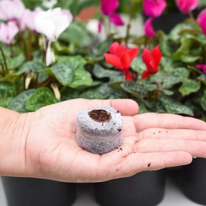 Coco peat-Tapón de disco de coco, pastillas de musgo, sistema hidropónico vertical para agricultura - Product Image 5