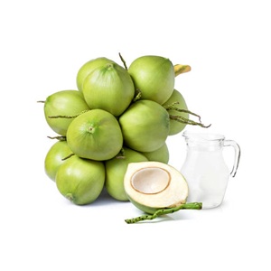 Noix de coco fraîche jeune du Vietnam, de qualité supérieure, sub-tropicale, 12 à 15 cm, douce, semi-décortiquée, mûre - Product Image 1