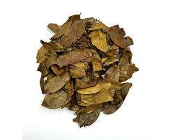Feuilles de corossol sauvages: pures et puissantes - Product Image 6