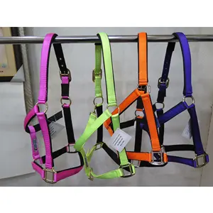 Tốt Nhất Bán Ả Rập Nylon Ngựa Halter Nhà Sản Xuất Thiết Kế Riêng của Bạn Ngựa Nylon Halter Cho Ngựa Nhãn Hiệu Riêng Sản Phẩm