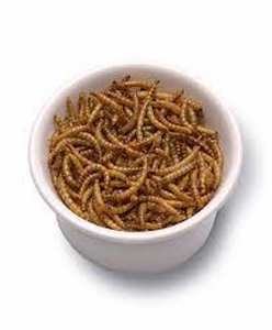 Gusanos de harina secos con alto contenido de proteínas, 1kg, embalaje personalizado, alimentos secos para mascotas - Product Image 3