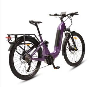 Meilleures Offres 2026 pour Vélo Électrique de Livraison TXED 250W à Moteur Central, Frein à Disque Hydraulique, 7 Vitesses - Product Image 1