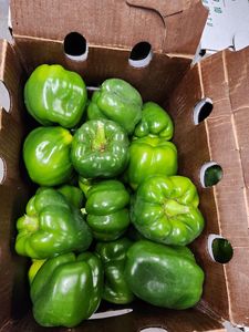 Pimiento Verde Dulce Deshidratado en Rodajas, Orgánico, Natural, de Grado Alimenticio, Saludable, a Granel, Nueva Cosecha - Product Image 3