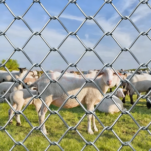 سياج شبكي حلزوني من الفولاذ المجلفن كهربائياً ومعالج حرارياً 2×2.65 مم 3 أقدام × 8.5 متر شديد التحمل مع إطار مطلي بالبودرة والبلاستيك مضاد للتسلق - Product Image 3