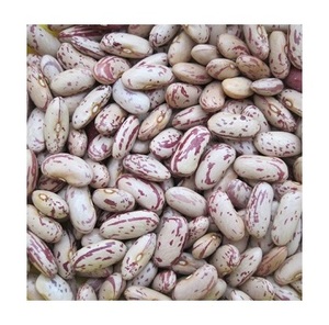 Haricots légers mouchetés, haricots sucrés, haricots pinto à vendre - Product Image 1